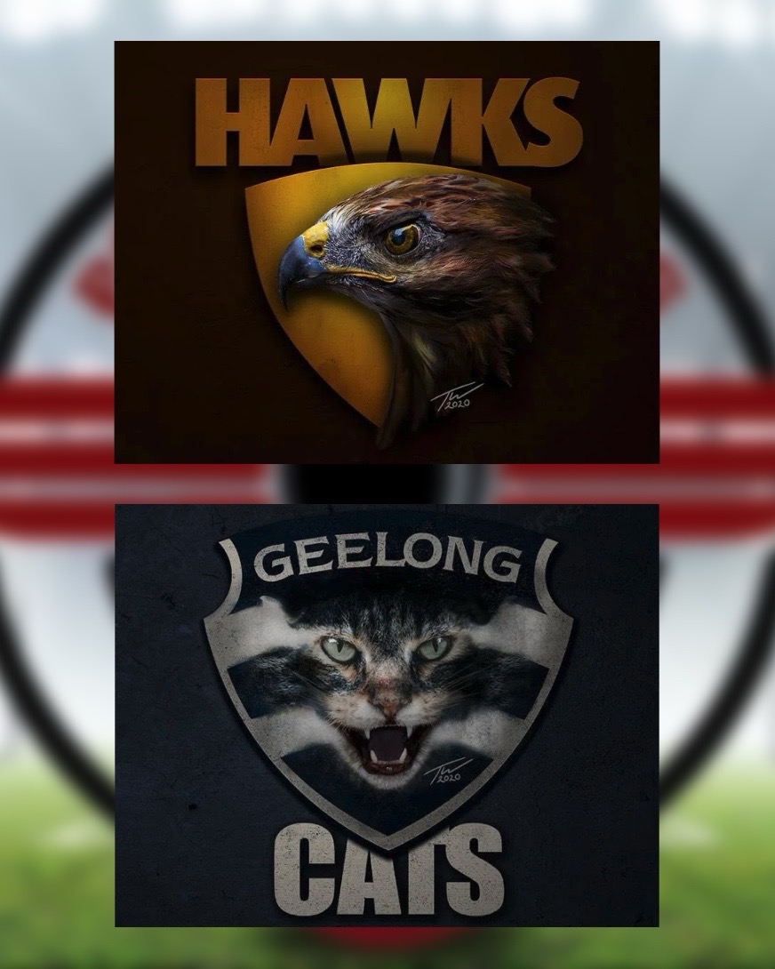 Round 5: Hawthorn VS Geelong